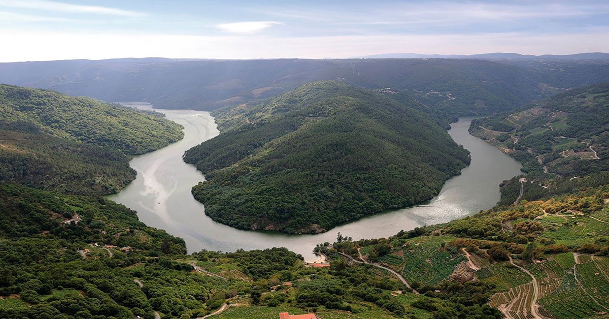 Ruta Viño Ribeira Sacra