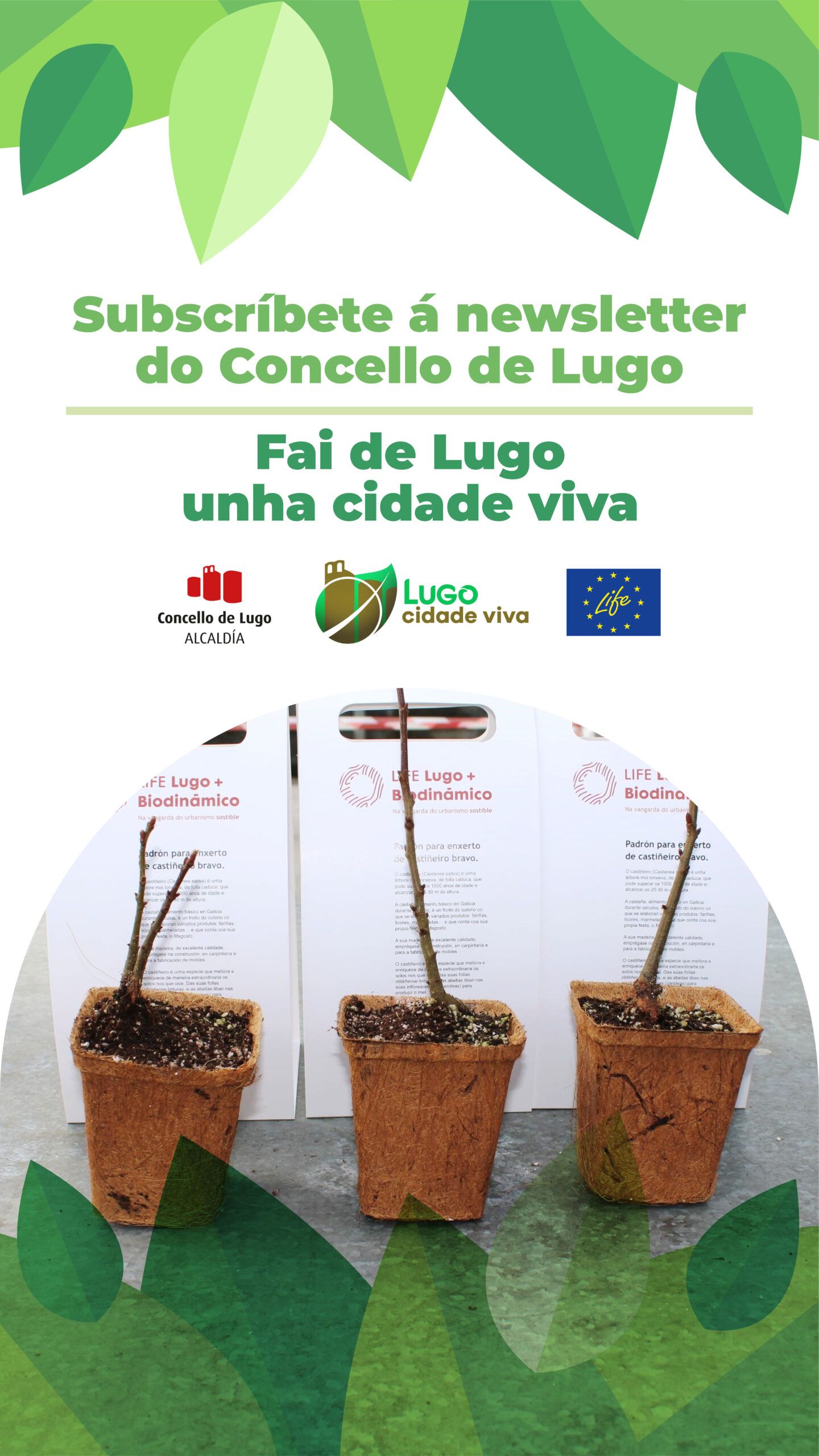 campaña lugo cidade viva