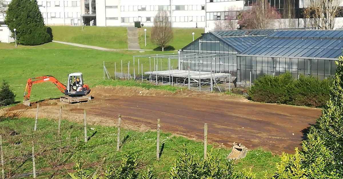 horto ecolóxico campus lugo