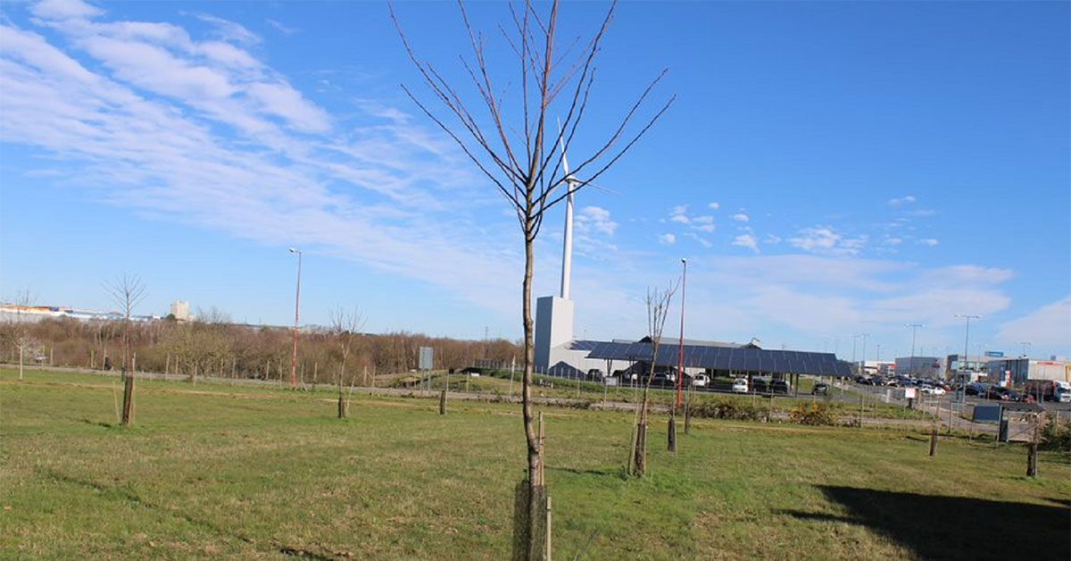 souto as gándaras lugo campus