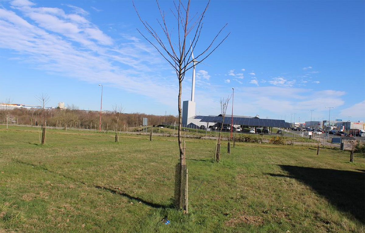 souto as gándaras lugo campus