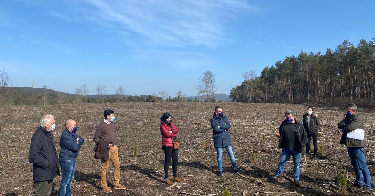 visita carballo friol pp lobo