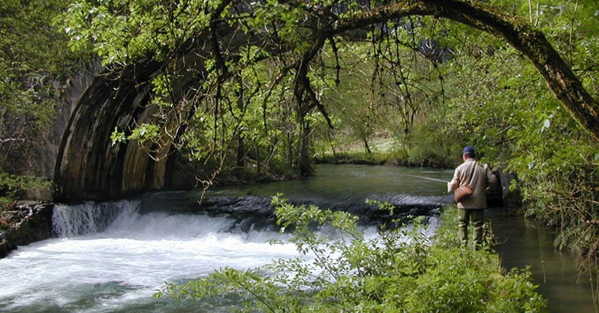 pescador pesca rios