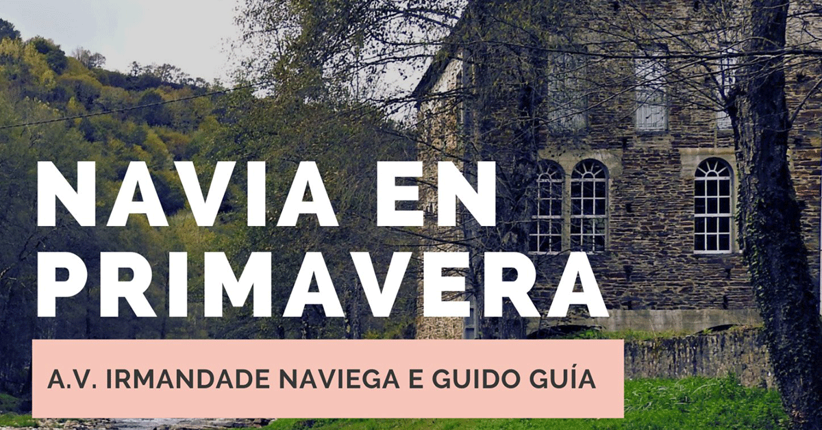 cartel navia de suarna