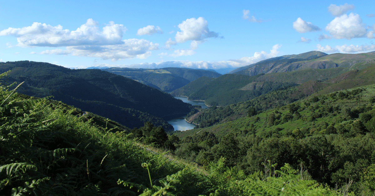 negueira de muniz