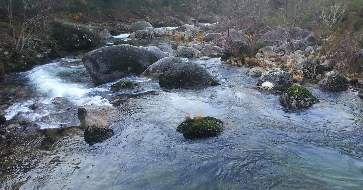 rio neira baleira