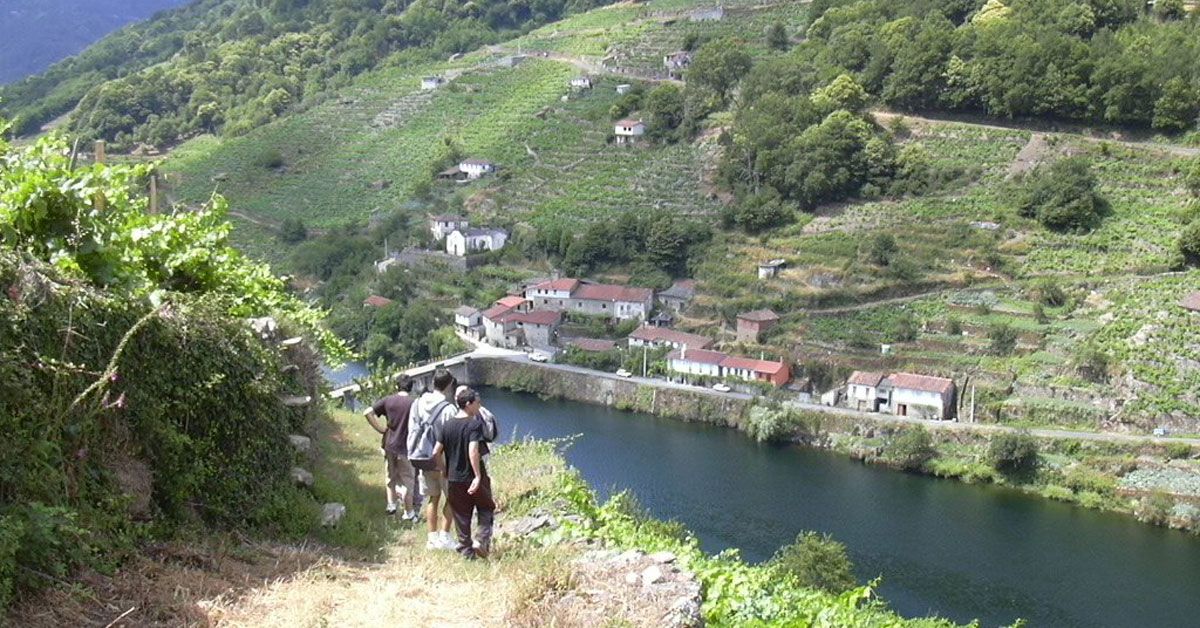 camino inverno bajando_codos_hacia_belesar