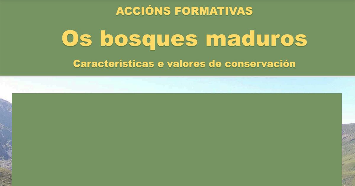 os bosques charla lugo