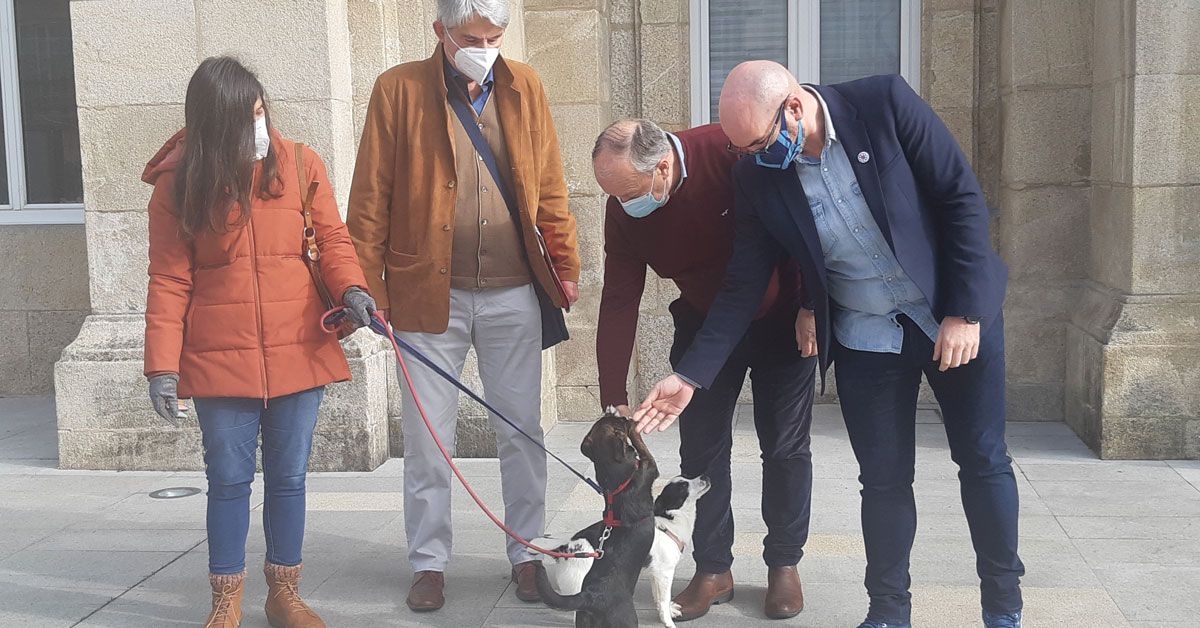 Efrén Castro Praza San Marcos dous animais Protectora