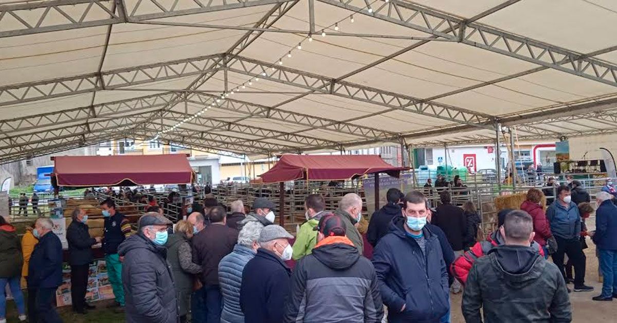 acruga subasta febreiro Valadouro feira