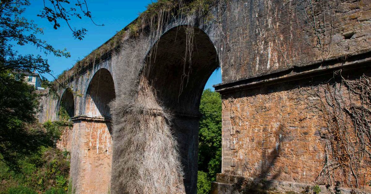 Ponte de Cruzul becerrea