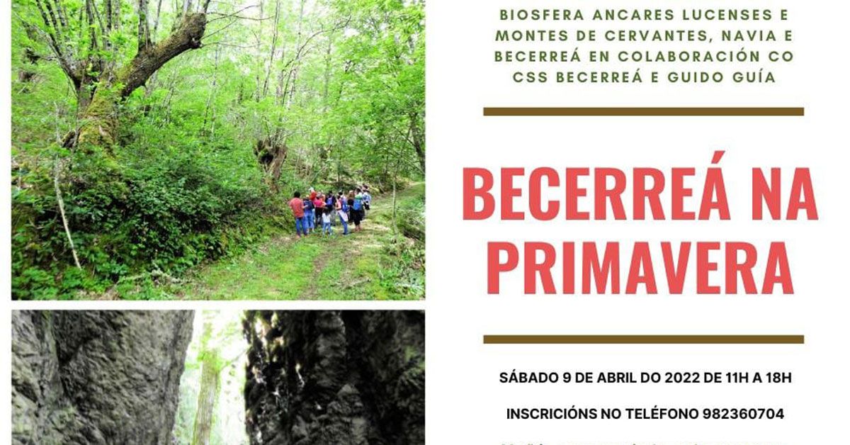 becerrea primavera2