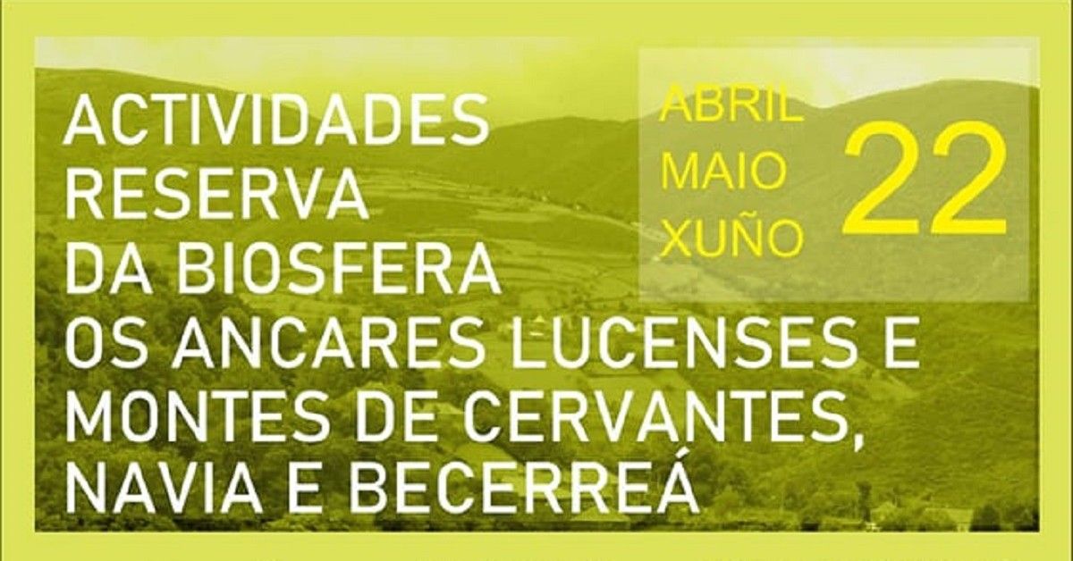 actividades cervantes