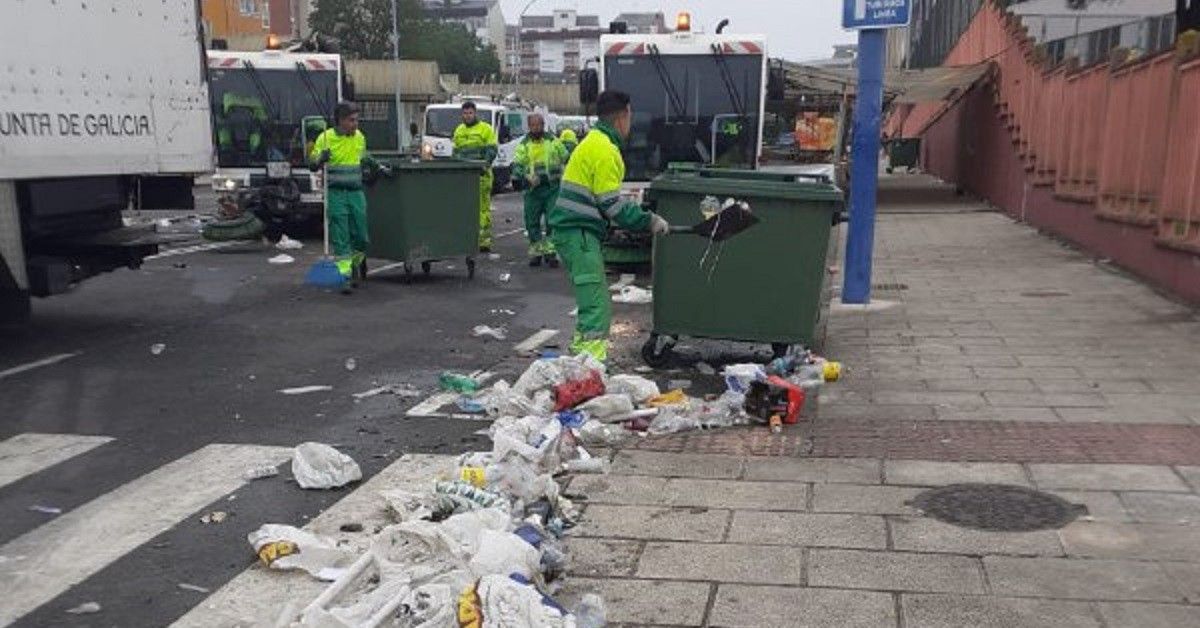 Limpeza O Castiñeiro Lugo