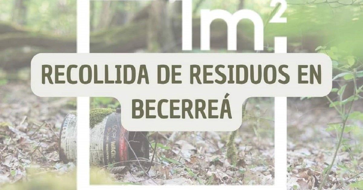 Limpeza becerrea