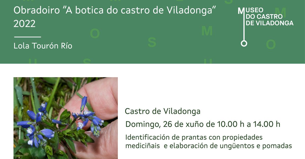 obradoiro plantas medicinais castro viladonga portada