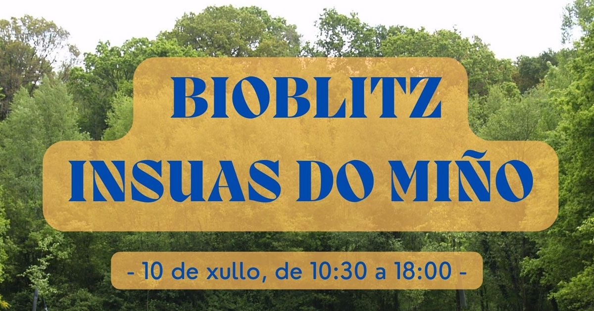 BIOBLITZ INSUAS DO MINO