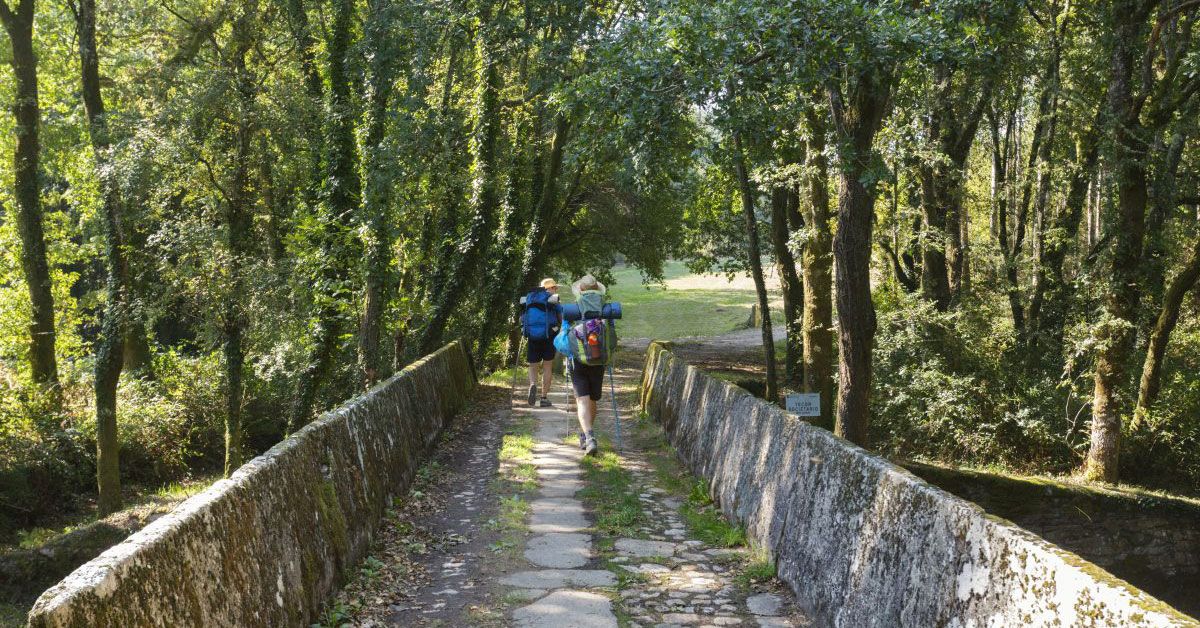 CAMINO-SANTIAGO-VILALBA
