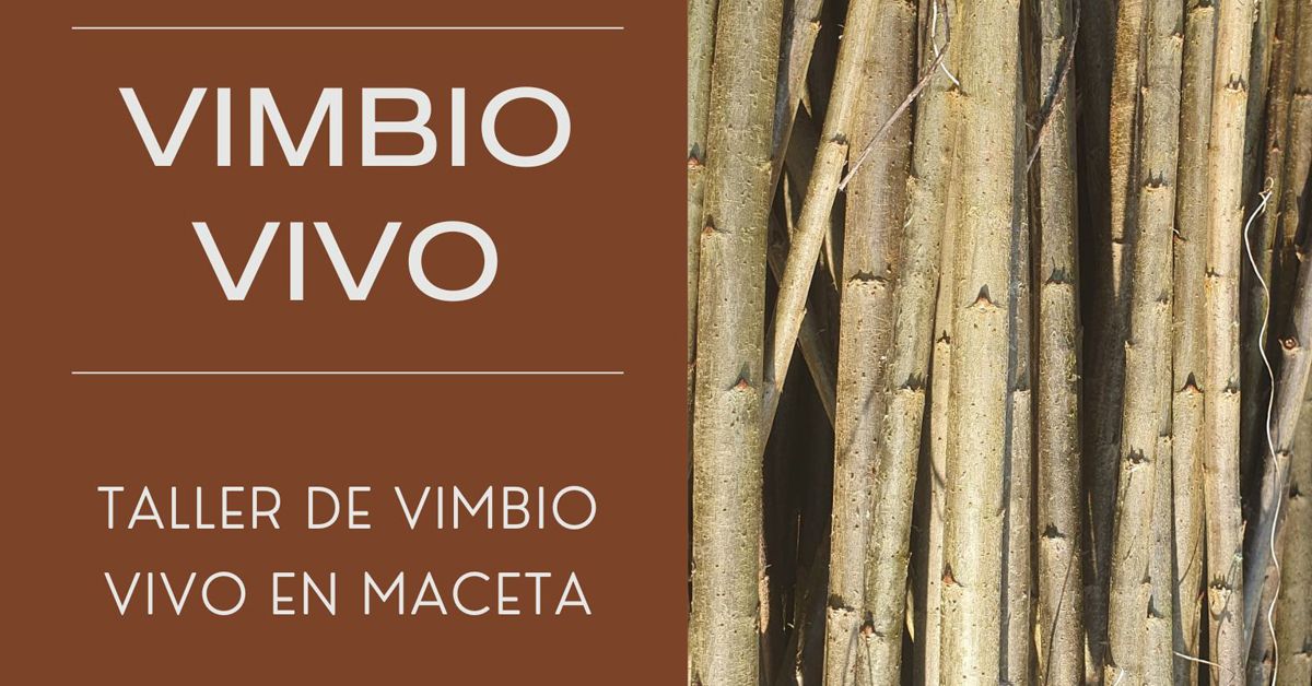 taller de vimbio en vivo casa das insuas portada