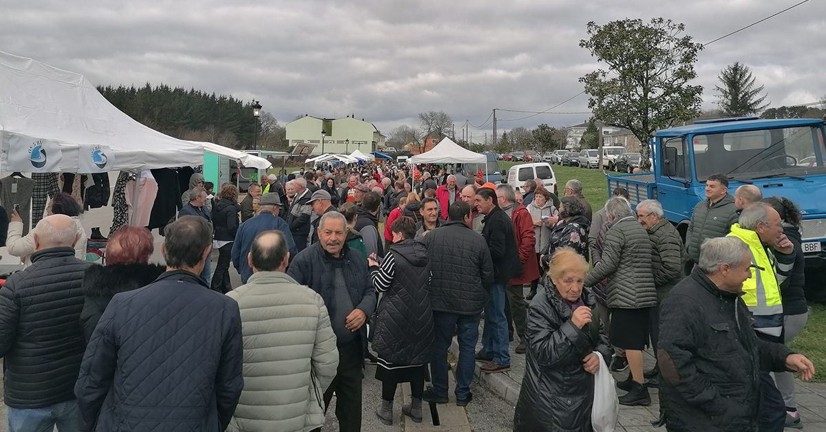 Feira corgo segunda man