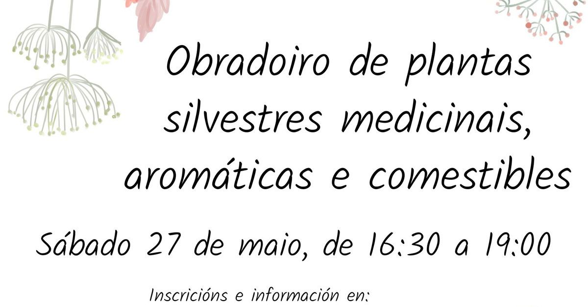 obradoiro plantas medicinais casa das insuas portada