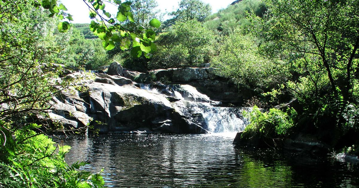 Torrentes de macara 2