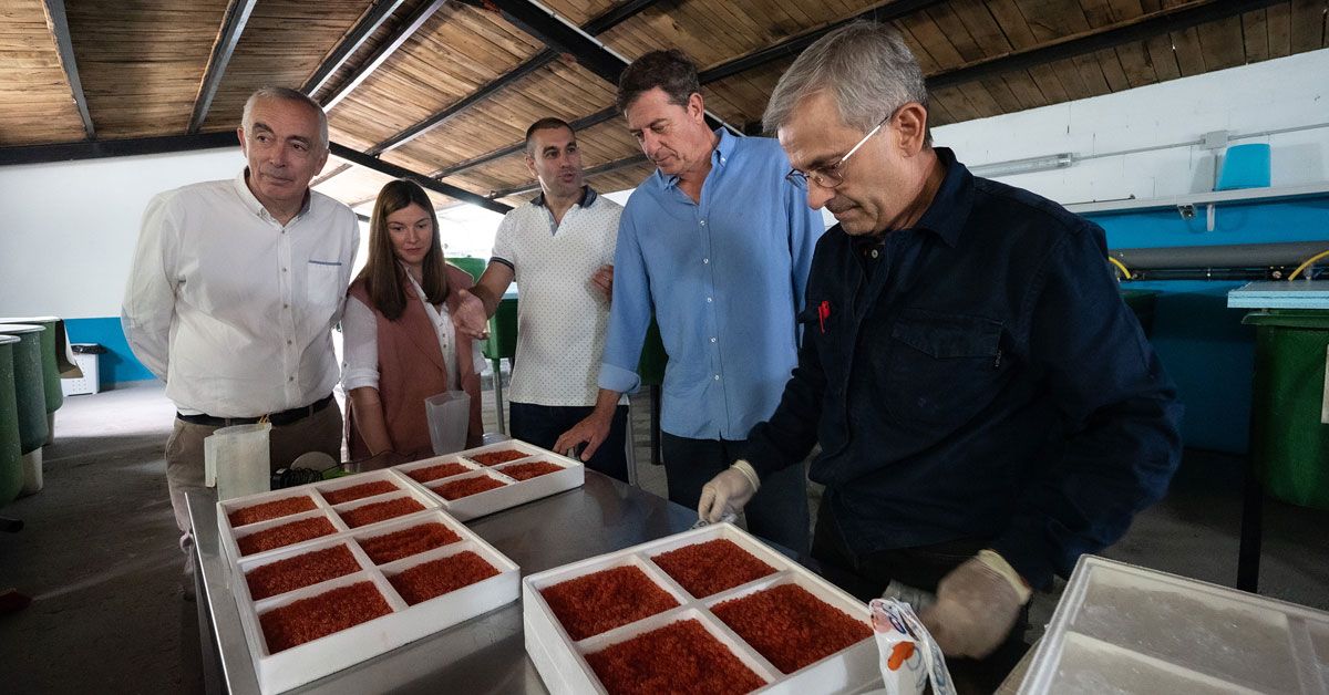 cesar mogo mayra besteiro e ribeira de piquin piscifactoria