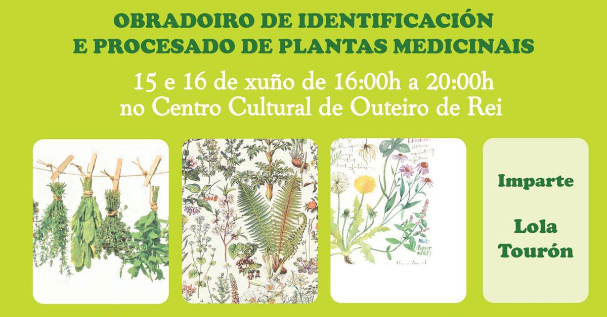 obradoiro plantas medicinais outeiro