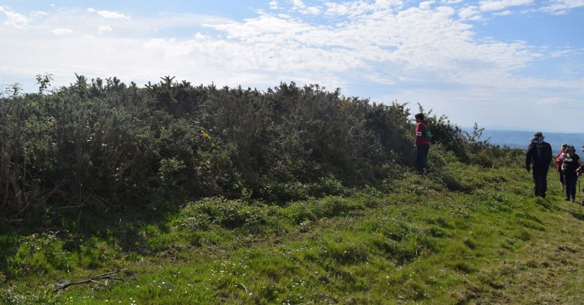 NOVOS XACEMENTOS ARQUEOLOXICOS ADEGA MARINA PATRIMONIO