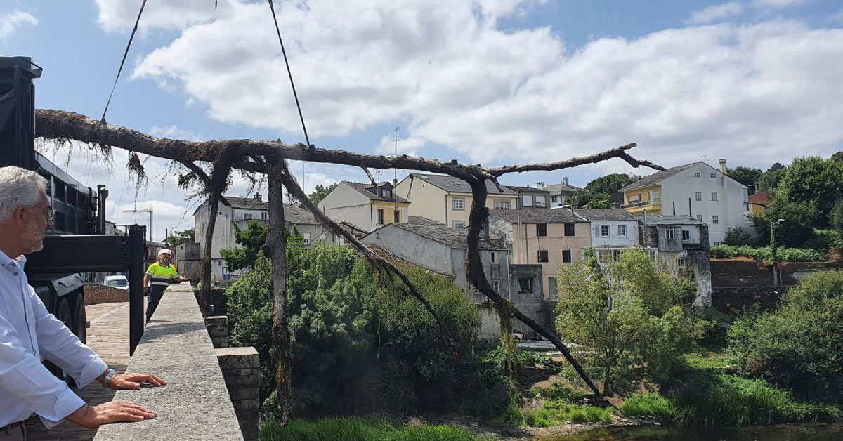 RETIRADA DE ARBORES NO RIO MINO PONTE ROMANA