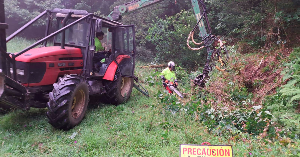 Traballos de retirada de restos vexetais arrastrados pola corrente