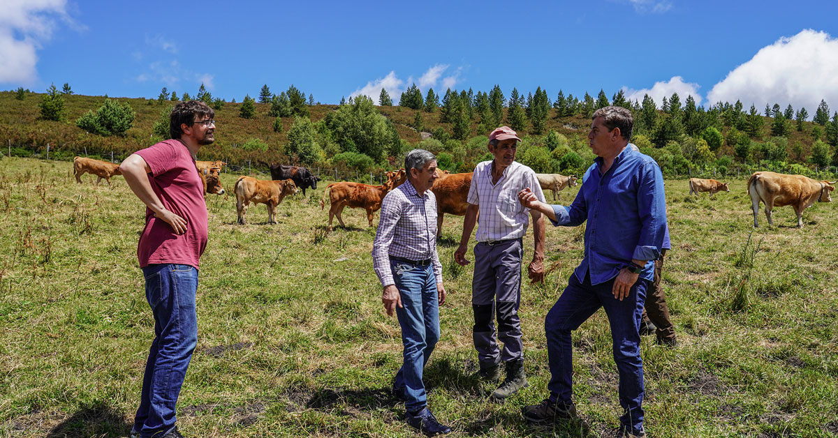 gomez besteiro cervantes cooperativa carqueixa