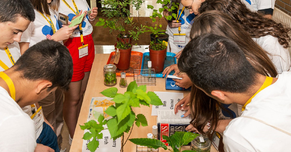 xuvenciencia campus terra lugo