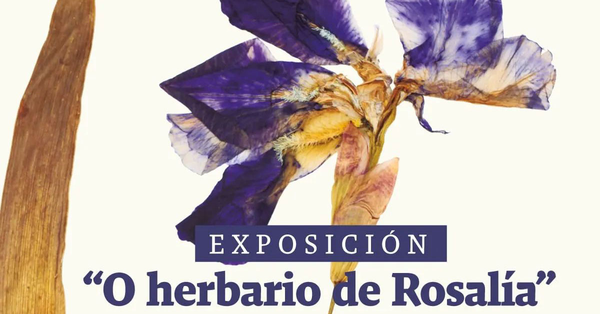 exposicion fonsagrada o herbario de rosalia 2023