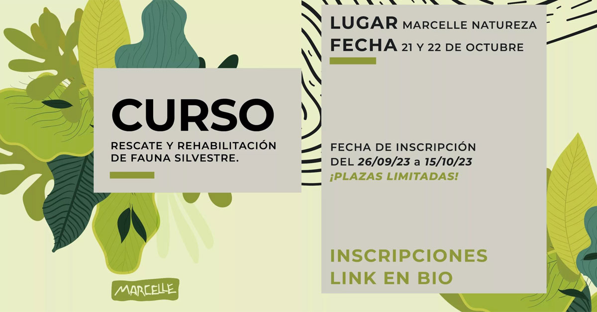 curso rescate natureza marcelle portada