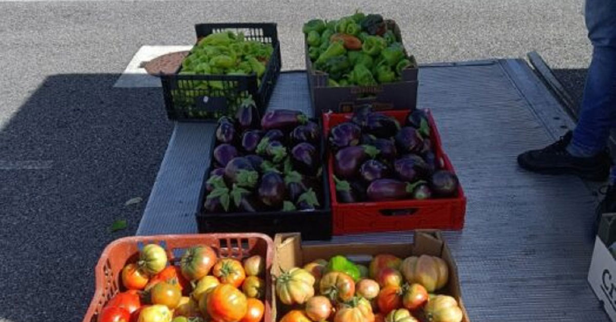 produtos de horta alimentos