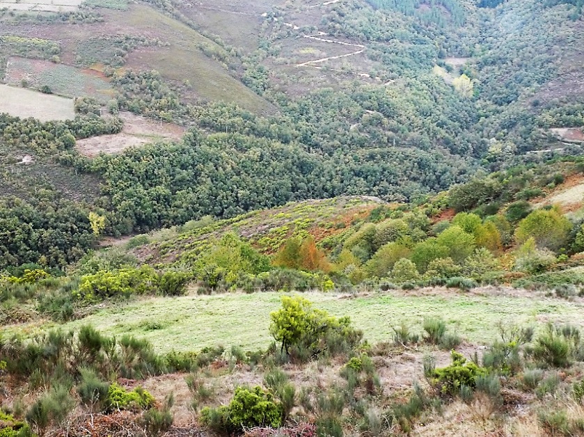 Patrimonio Ancares- Navia de Suarna-Os Castros