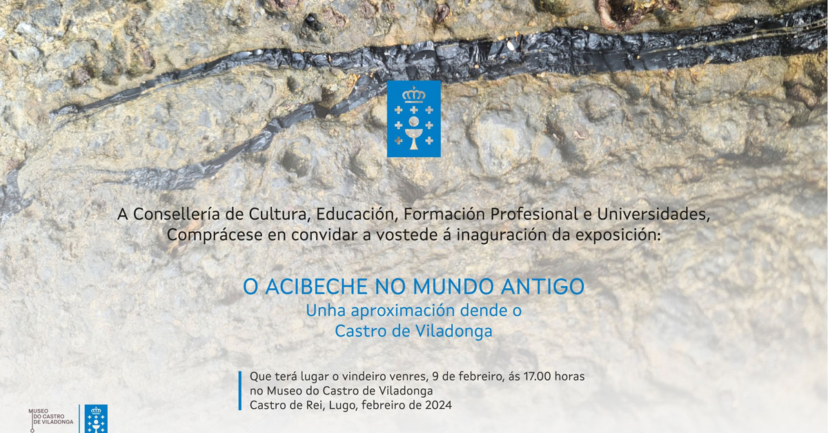 mostra acibeche viladonga