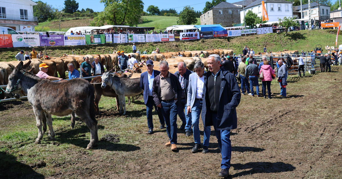 Feira do Gandeiro da Montaña de Cervantes_