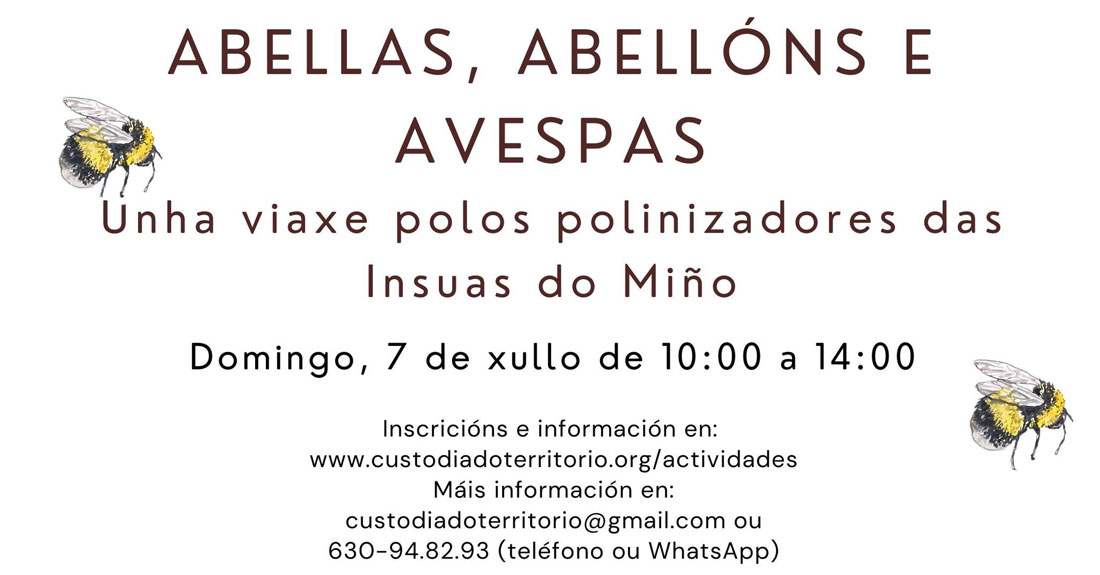 curso-sobre-polinizadores-rabade-casa-das-insuas