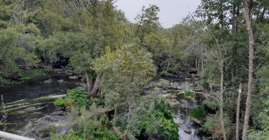 ponte-de-ombreiro