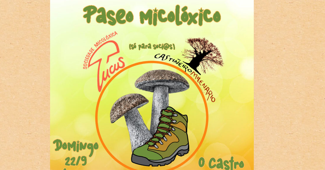 paseo-micoloxico-lucus-castineiro