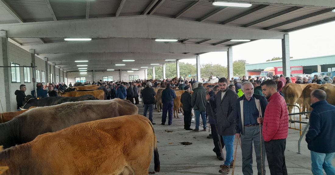 Feira-de-Santos-Monterroso