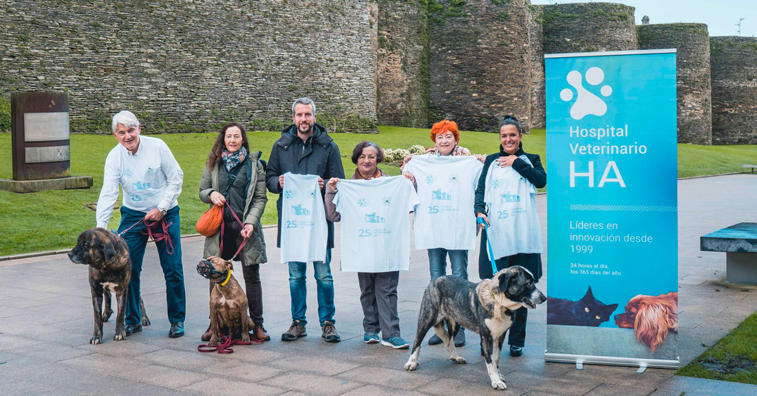 andaina-asociación-animalistas-Lugo