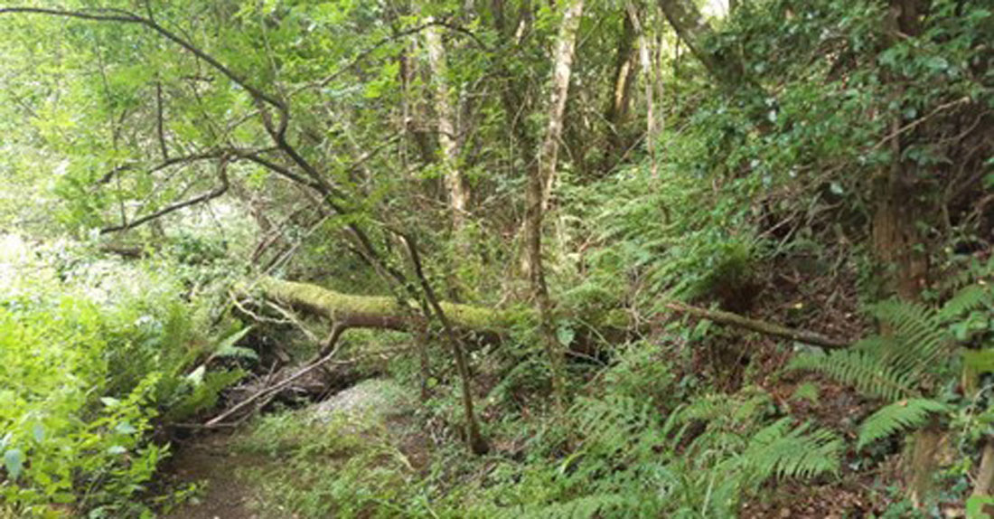 CHMS-en-Ribeira-de-Piquín