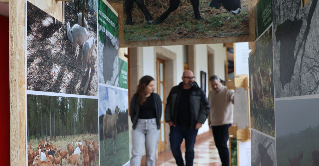 exposicion-silvopastoreo