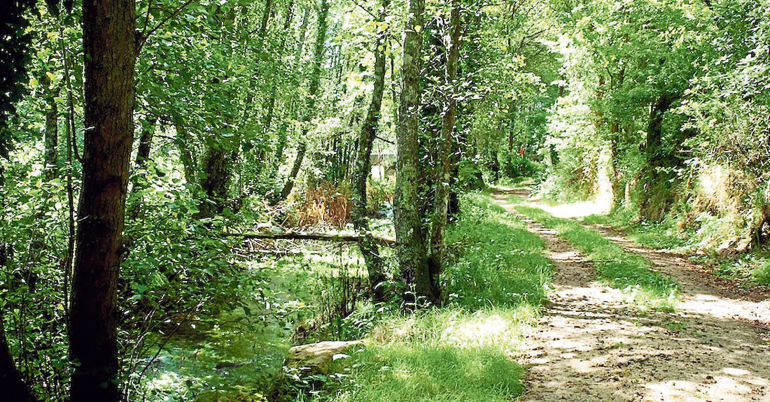 ruta-lugo-friol2