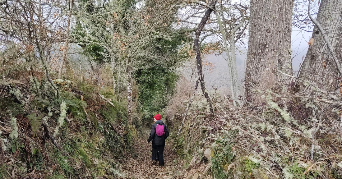 Ruta-Penedo-da-Forca-Navia