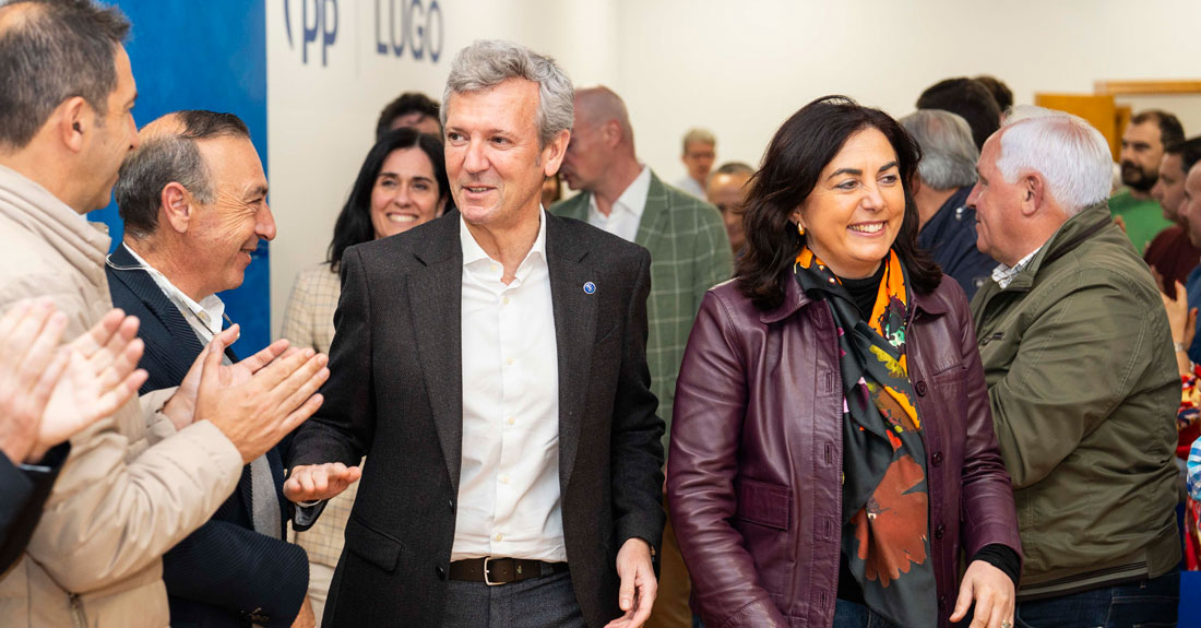 axudas-rueda-pp