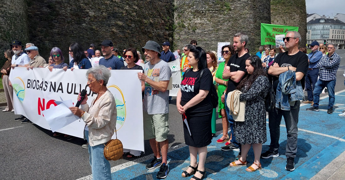 manifestacion-coeses-lugo